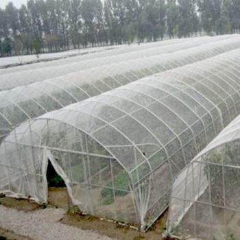 Mesh Width Garden Pest Control Netting Plants Vegetable Fruit