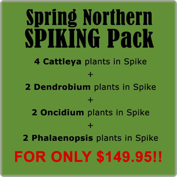 Spring Northern SPIKING Pack