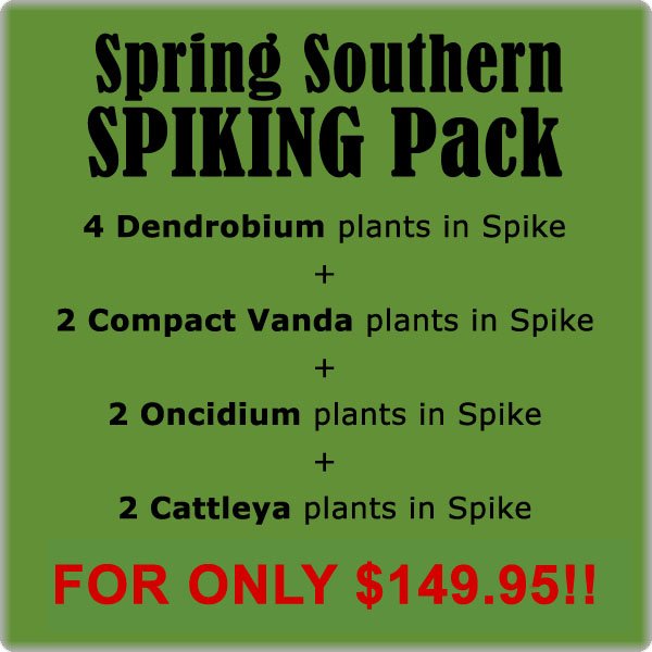 Spring Southern SPIKING Pack
